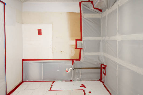 Mold Remediation for Rental Properties in Orosi, CA